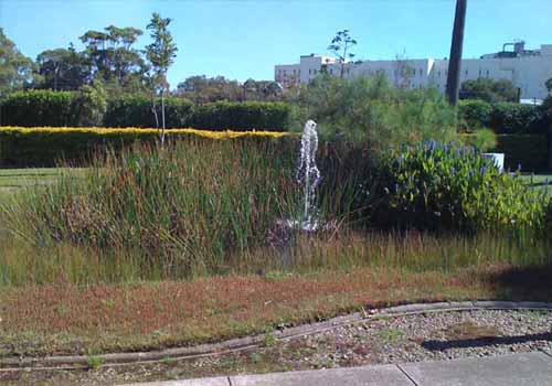 Fountain at Tree house Garden