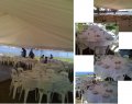 Wedding setup at Clarkes Point (Hunters Hill)